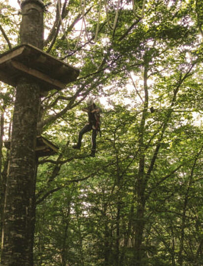 Sportliche Entdeckung: Kletterparks