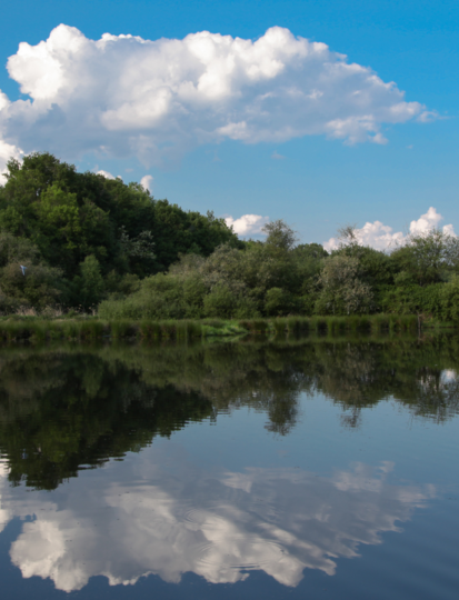 Was tun in der Sologne?